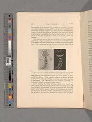 Go to image 118.