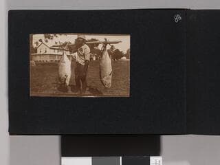 Go to image 90.