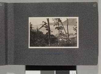 Go to image 15.