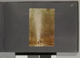 Go to image 41.