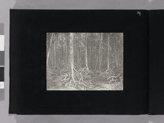 Go to image 76.