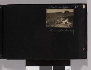 Go to image 69.
