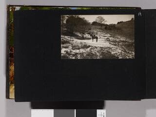 Go to image 16.