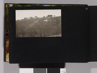 Go to image 12.