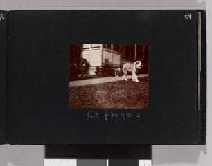 Go to image 61.