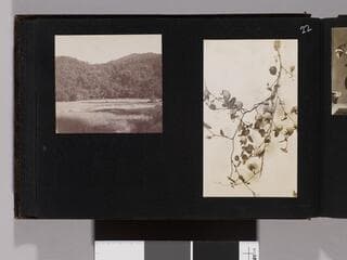 Go to image 24.