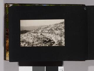 Go to image 14.