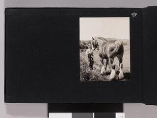 Go to image 88.