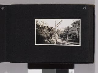 Go to image 91.