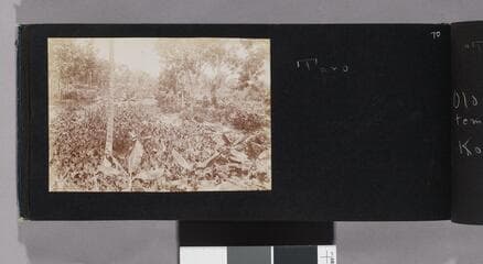 Go to image 72.
