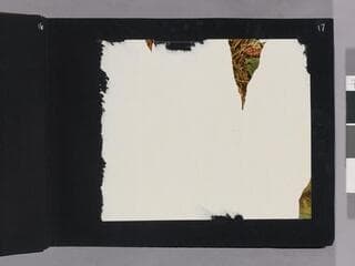 Go to image 19.