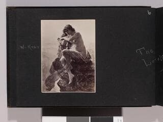 Go to image 8.