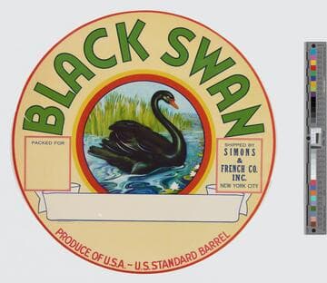 Black swan