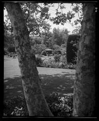 Go to image 7.