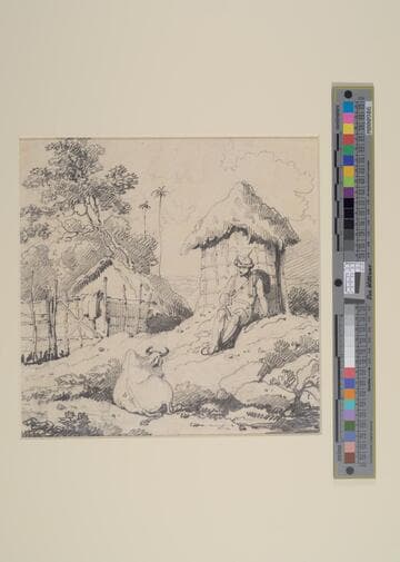Indian Scene