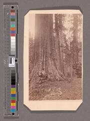 Go to image 1.