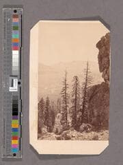 Go to image 1.