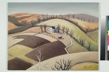 Winter Fields