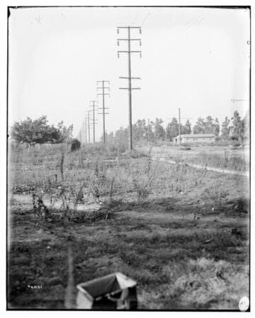 Distribution Lines