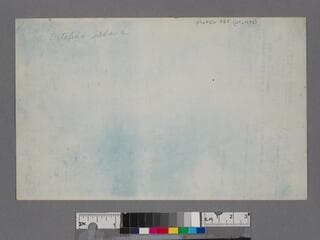 Go to image 2.