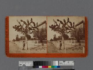 Go to image 1.