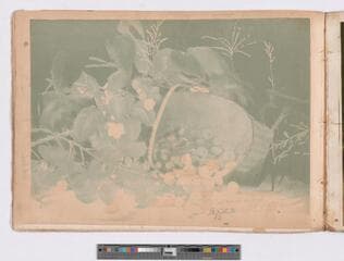 Go to image 31.