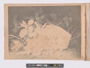 Go to image 34.