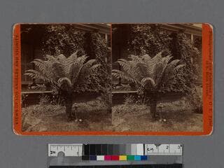 Go to image 1.