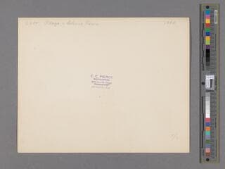 Go to image 2.