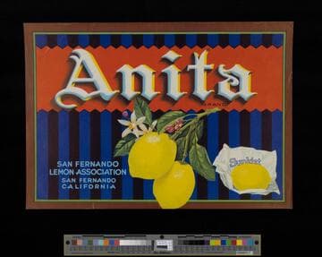 Anita brand