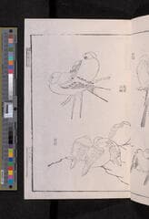 Go to image 257.