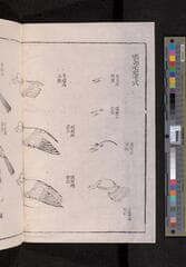 Go to image 250.