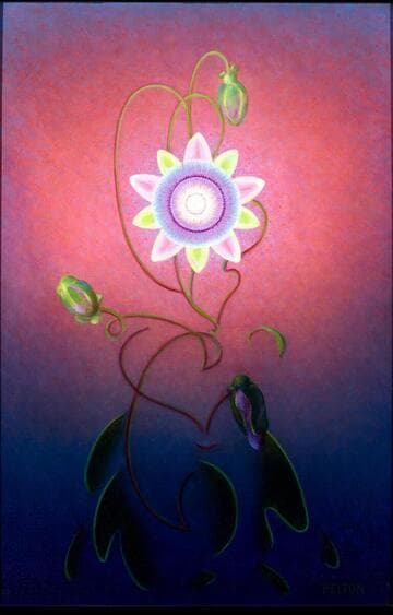 Passion Flower