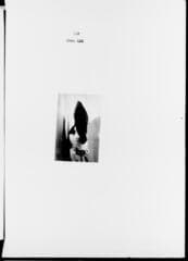 Go to image 264.