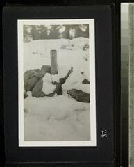 Go to image 30.