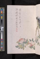 Go to image 283.