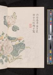 Go to image 182.