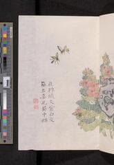 Go to image 167.