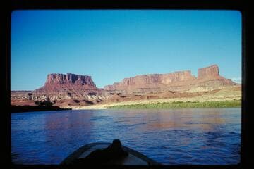Steer Mesa