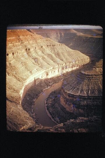 San Juan Gooseneck