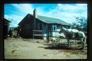 Roost Ranch