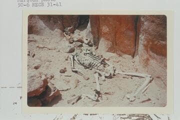 Skeleton above Paradise Canyon