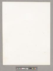 Go to image 4.