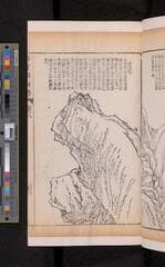 Go to image 221.