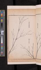 Go to image 161.