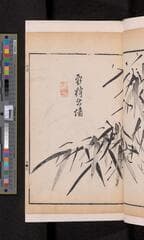 Go to image 195.
