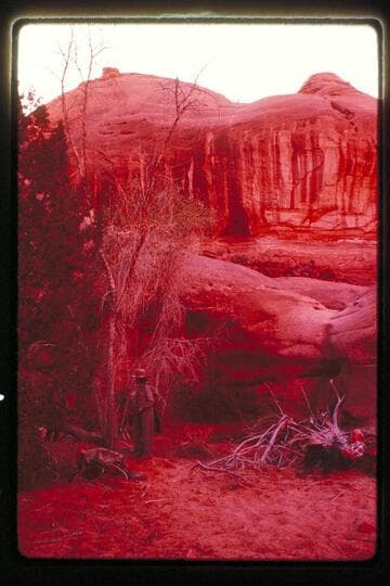 Camp in Nasja Creek