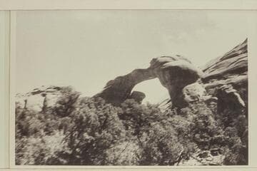 Owl Bridge