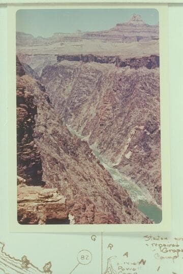 Grapevine Rapid
