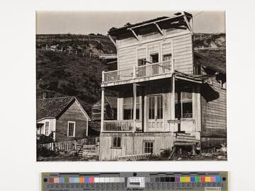 Albion, North Coast